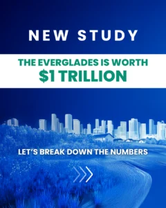 Everglades worth 1 Trillion